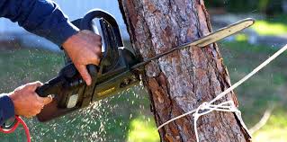 Trusted Chestnut Ridge, NY  Tree Services Experts